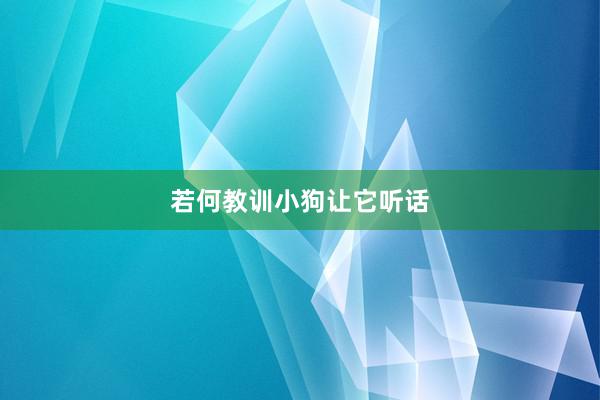 若何教训小狗让它听话