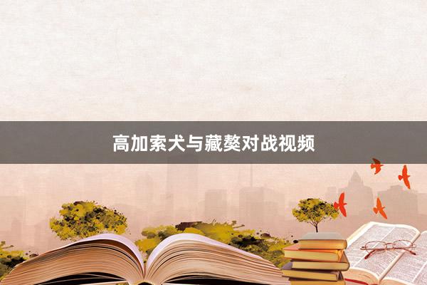高加索犬与藏獒对战视频