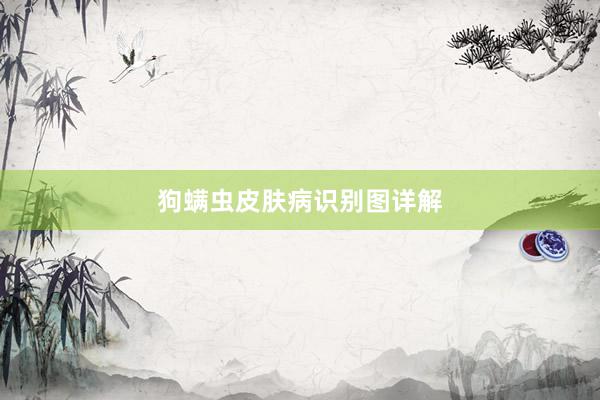 狗螨虫皮肤病识别图详解