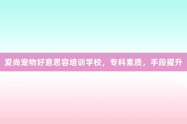 爱尚宠物好意思容培训学校，专科素质，手段擢升