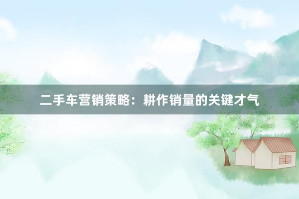 二手车营销策略：耕作销量的关键才气